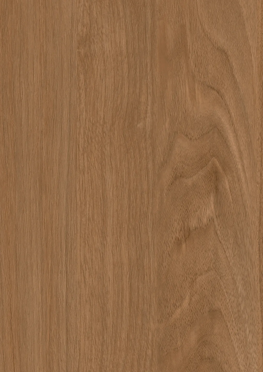 Altyno VIP12001MT Masters Collection architectural film swatch