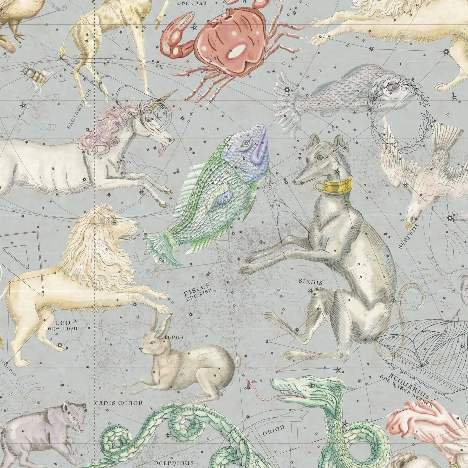 House of Hackney Cosmos wallpaper in Celestial Blue – SKU 1-WA-COS-DI-CEL-XXX