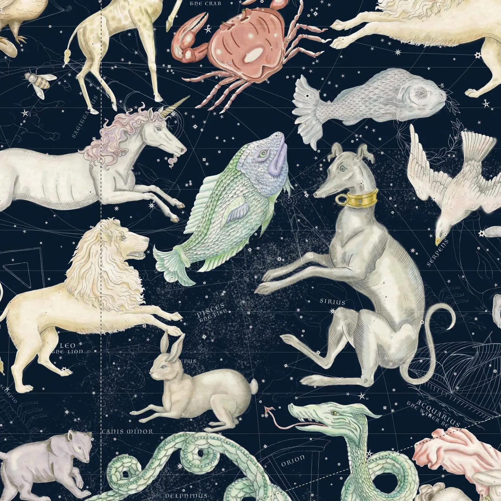 House of Hackney Cosmos wallpaper in Midnight – SKU 1-WA-COS-DI-MID-XXX