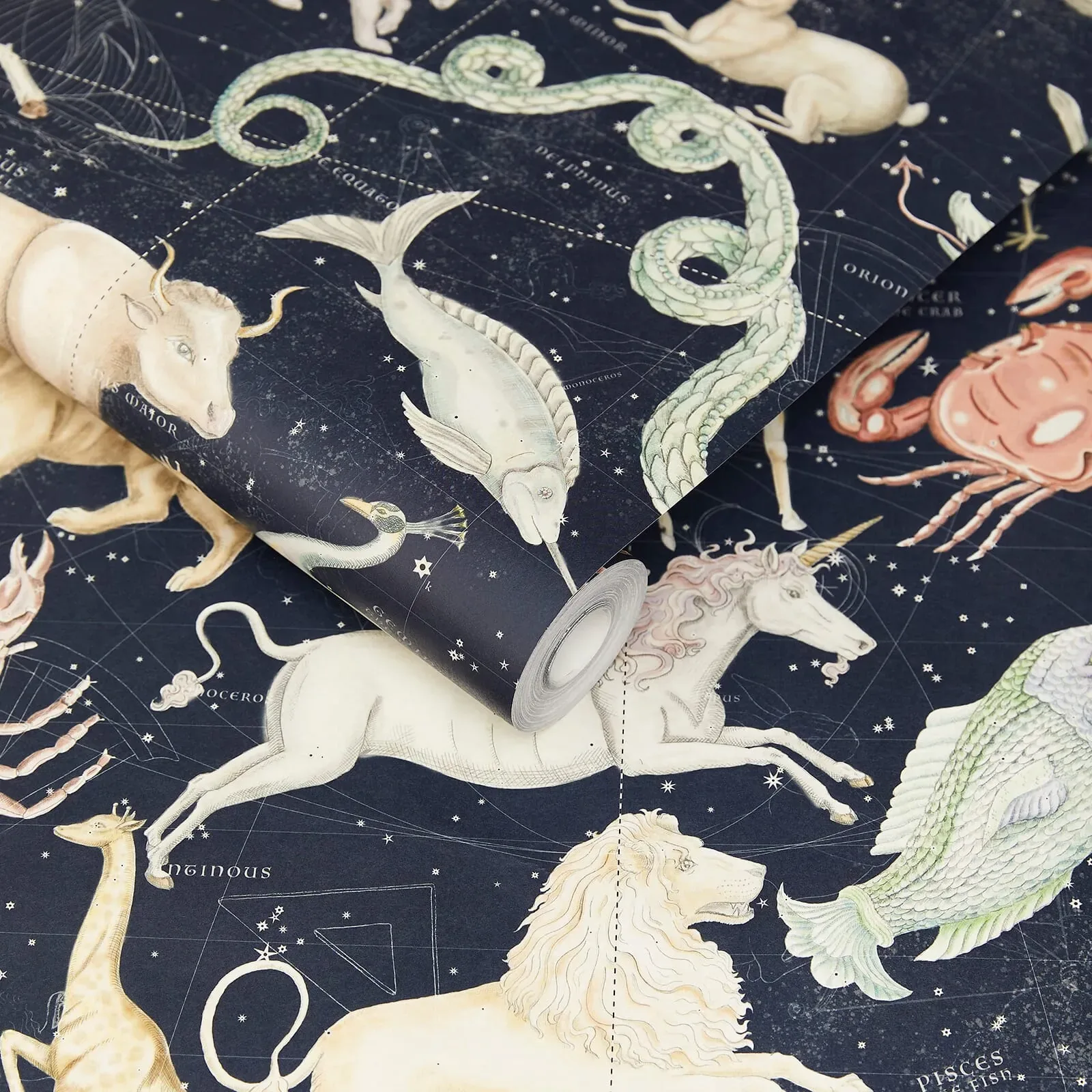 House of Hackney Cosmos wallpaper in Midnight – SKU 1-WA-COS-DI-MID-XXX