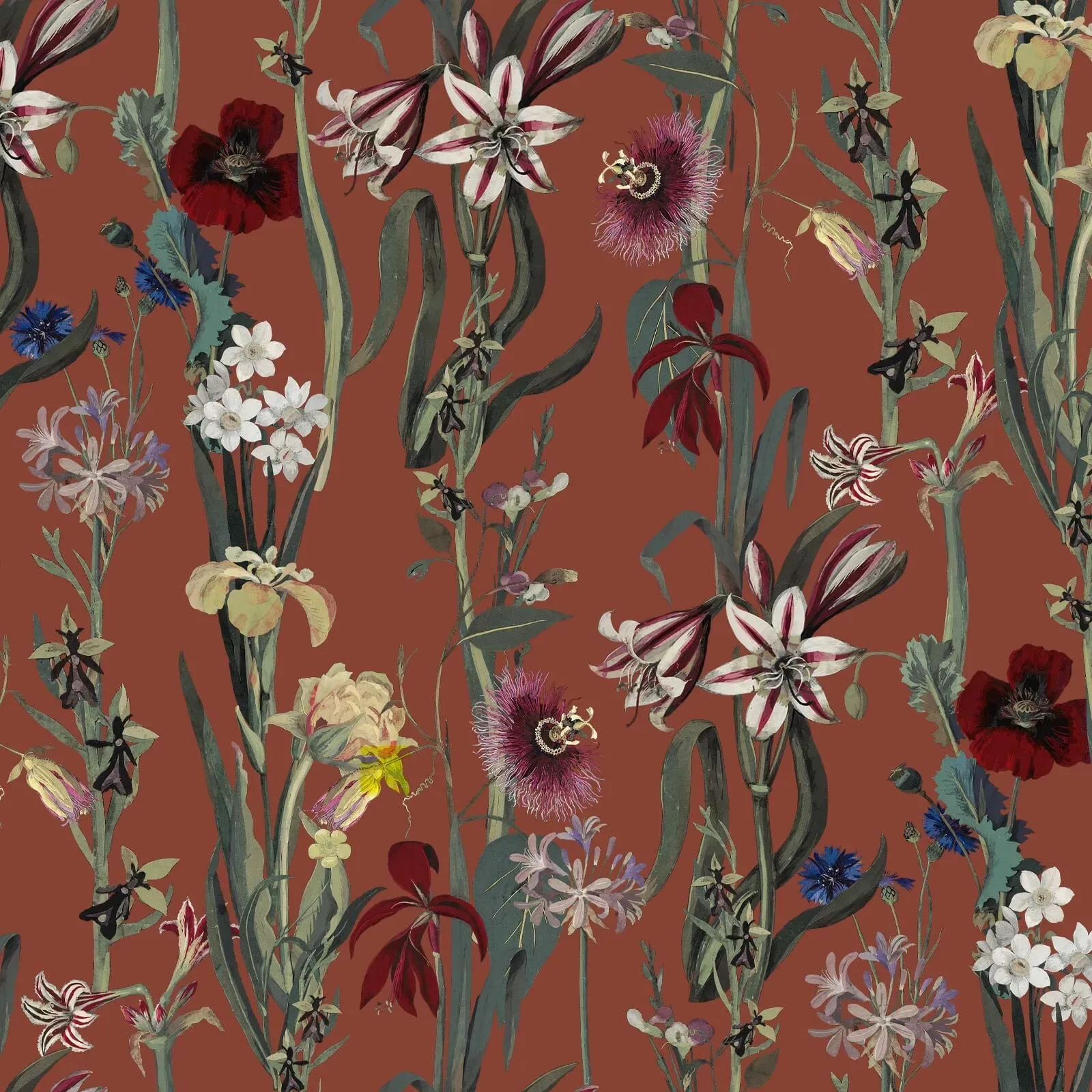 House of Hackney Flora Delanica wallpaper in Clay – SKU 1-WA-DEL-DI-CLA-XXX