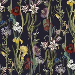 House of Hackney Flora Delanica wallpaper in Midnight – SKU 1-WA-DEL-DI-MID-XXX