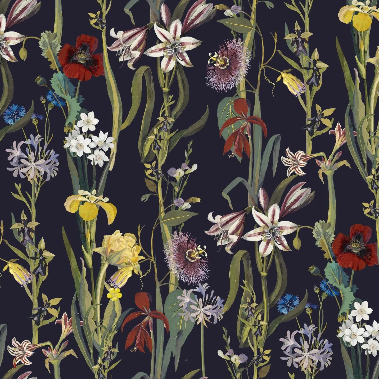 House of Hackney Flora Delanica wallpaper in Midnight – SKU 1-WA-DEL-DI-MID-XXX
