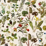 House of Hackney Herbarium Wallpaper – Ecru | Wallpaper Twins House of Hackney Herbarium wallpaper in Ecru – SKU 1-WA-HER-DI-ECR-XXX