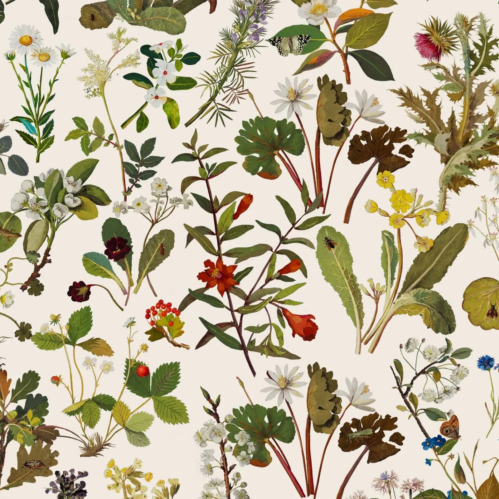 HERBARIUM Wallpaper – Ecru