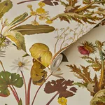 House of Hackney Herbarium Wallpaper – Ecru | Wallpaper Twins House of Hackney Herbarium wallpaper in Ecru – SKU 1-WA-HER-DI-ECR-XXX