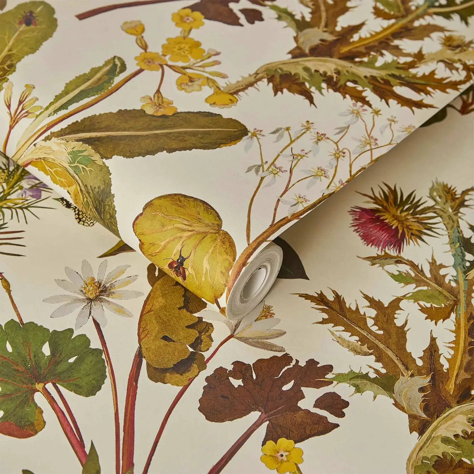House of Hackney Herbarium Wallpaper – Ecru | Wallpaper Twins House of Hackney Herbarium wallpaper in Ecru – SKU 1-WA-HER-DI-ECR-XXX