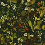 House of Hackney Herbarium Wallpaper – Midnight | Wallpaper Twins House of Hackney Herbarium wallpaper in Midnight – SKU 1-WA-HER-DI-MID-XXX