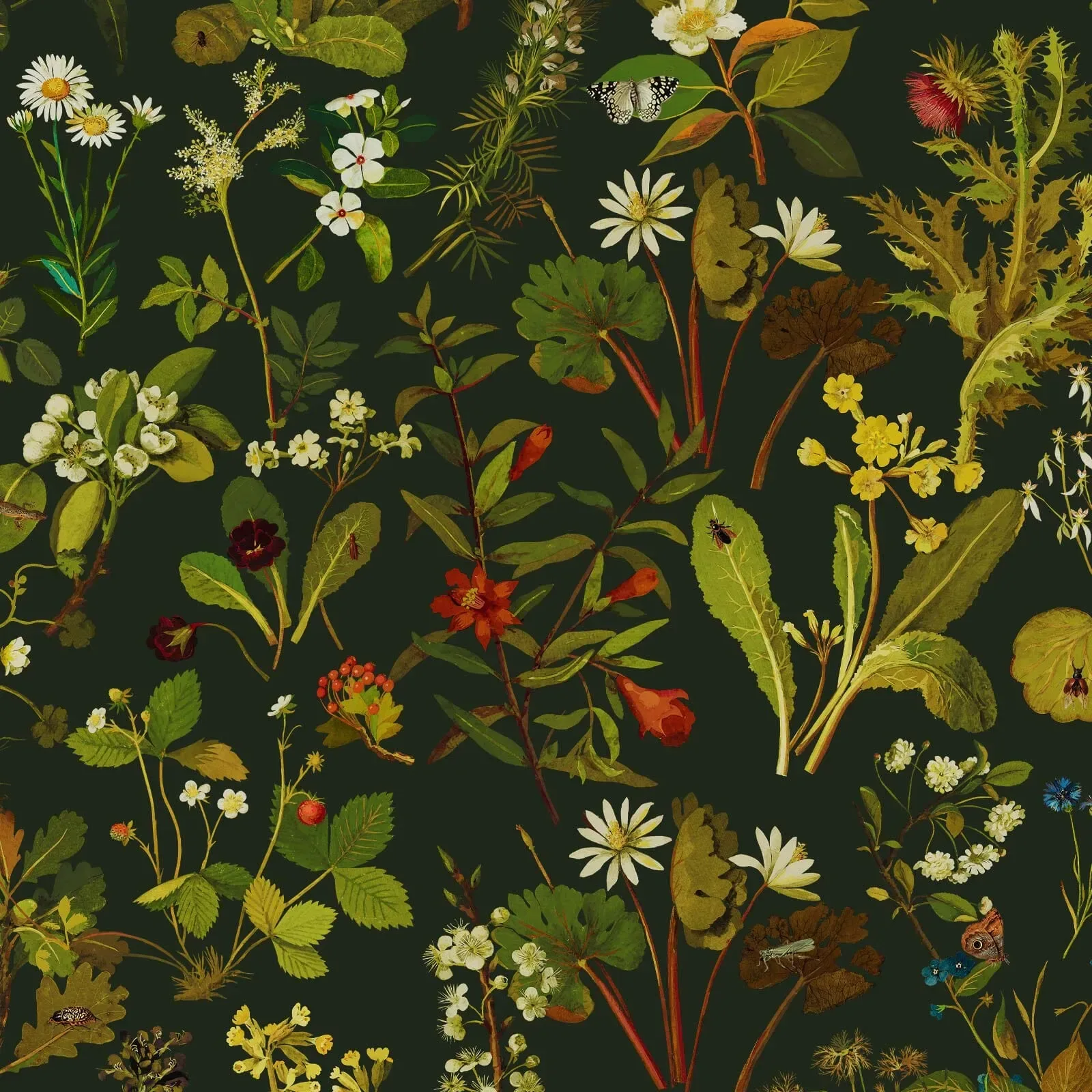 House of Hackney Herbarium wallpaper in Midnight – SKU 1-WA-HER-DI-MID-XXX