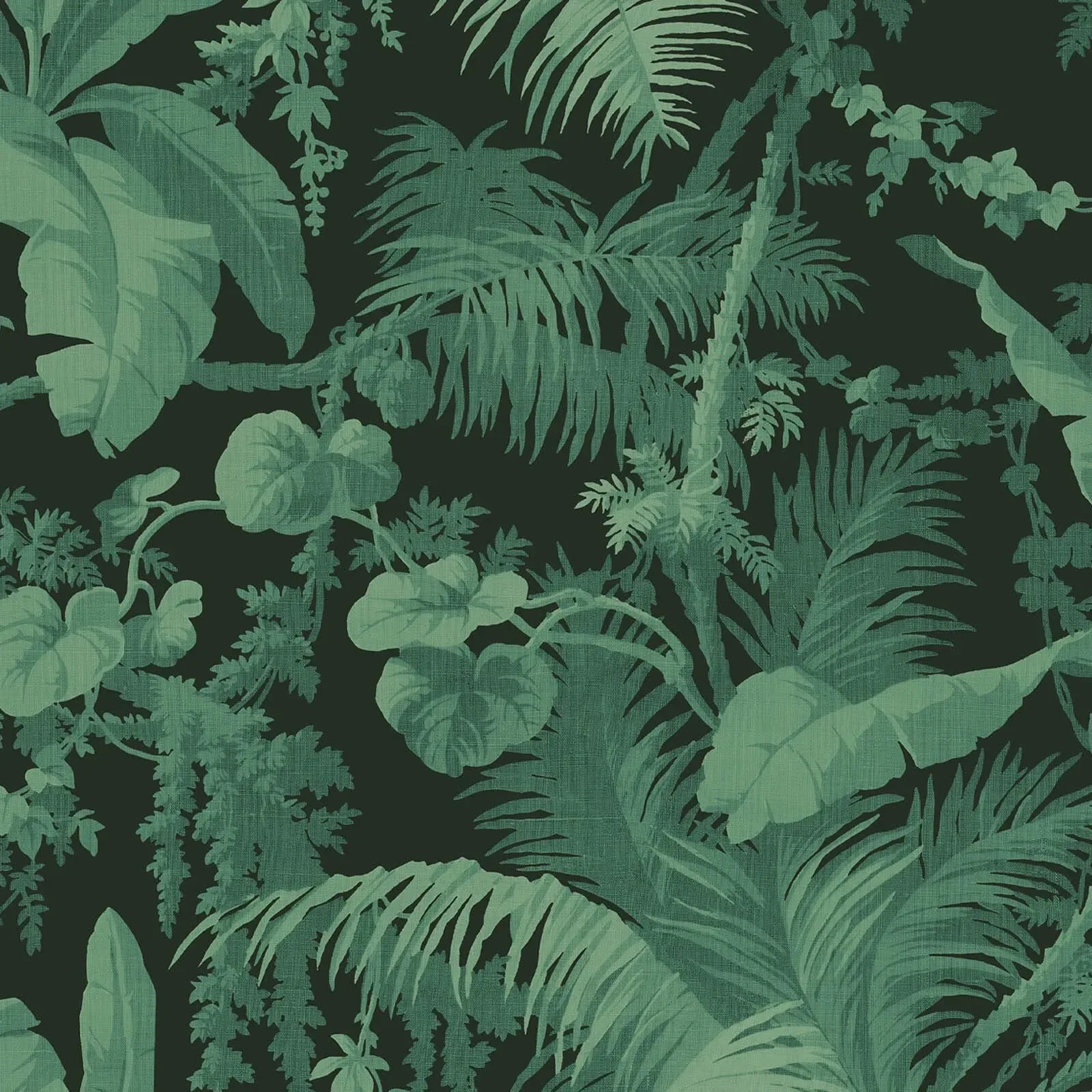 House of Hackney Pampas wallpaper in Noir – SKU 1-WA-PAM-DI-NOI-XXX