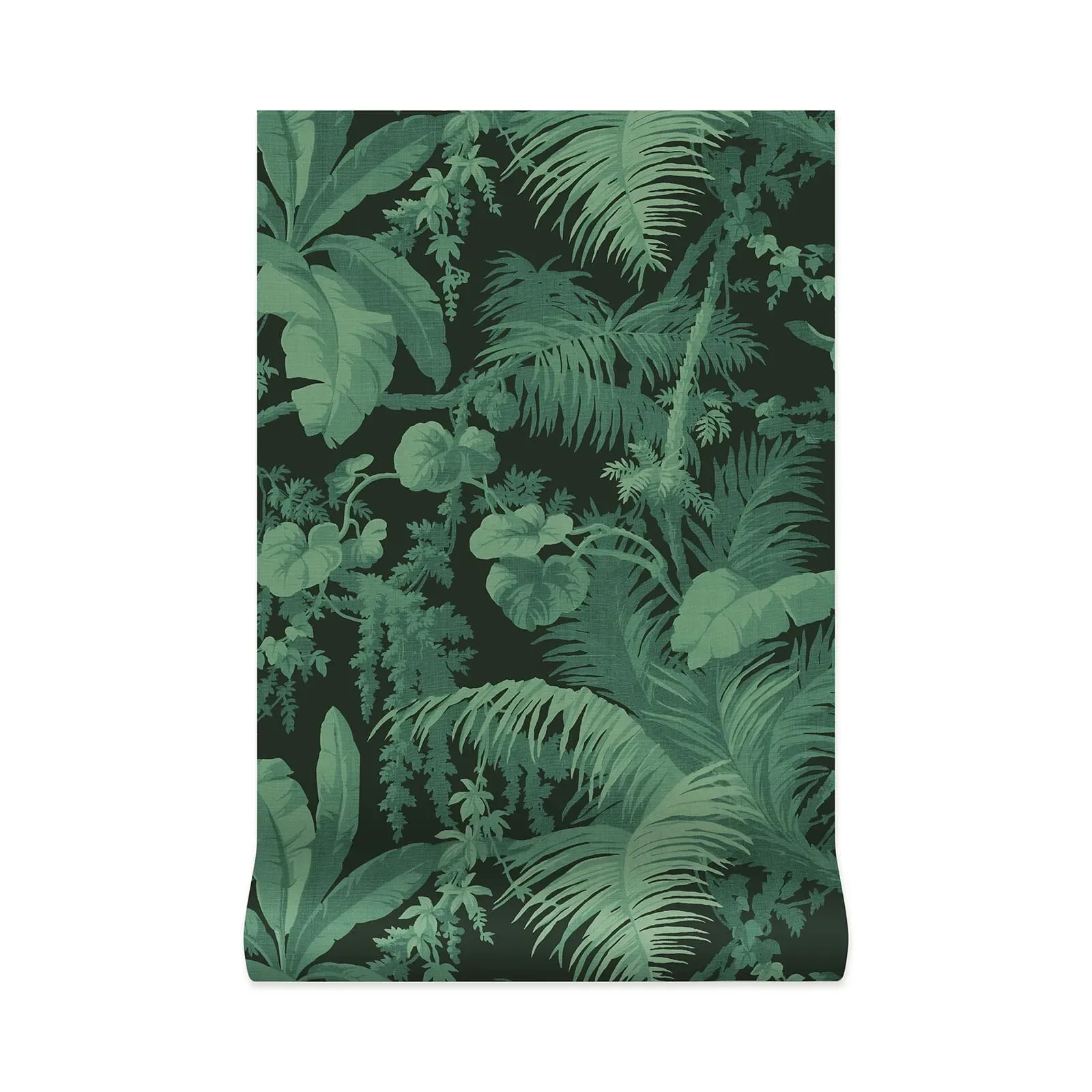 House of Hackney Pampas Wallpaper – Noir | Wallpaper Twins House of Hackney Pampas wallpaper in Noir – SKU 1-WA-PAM-DI-NOI-XXX
