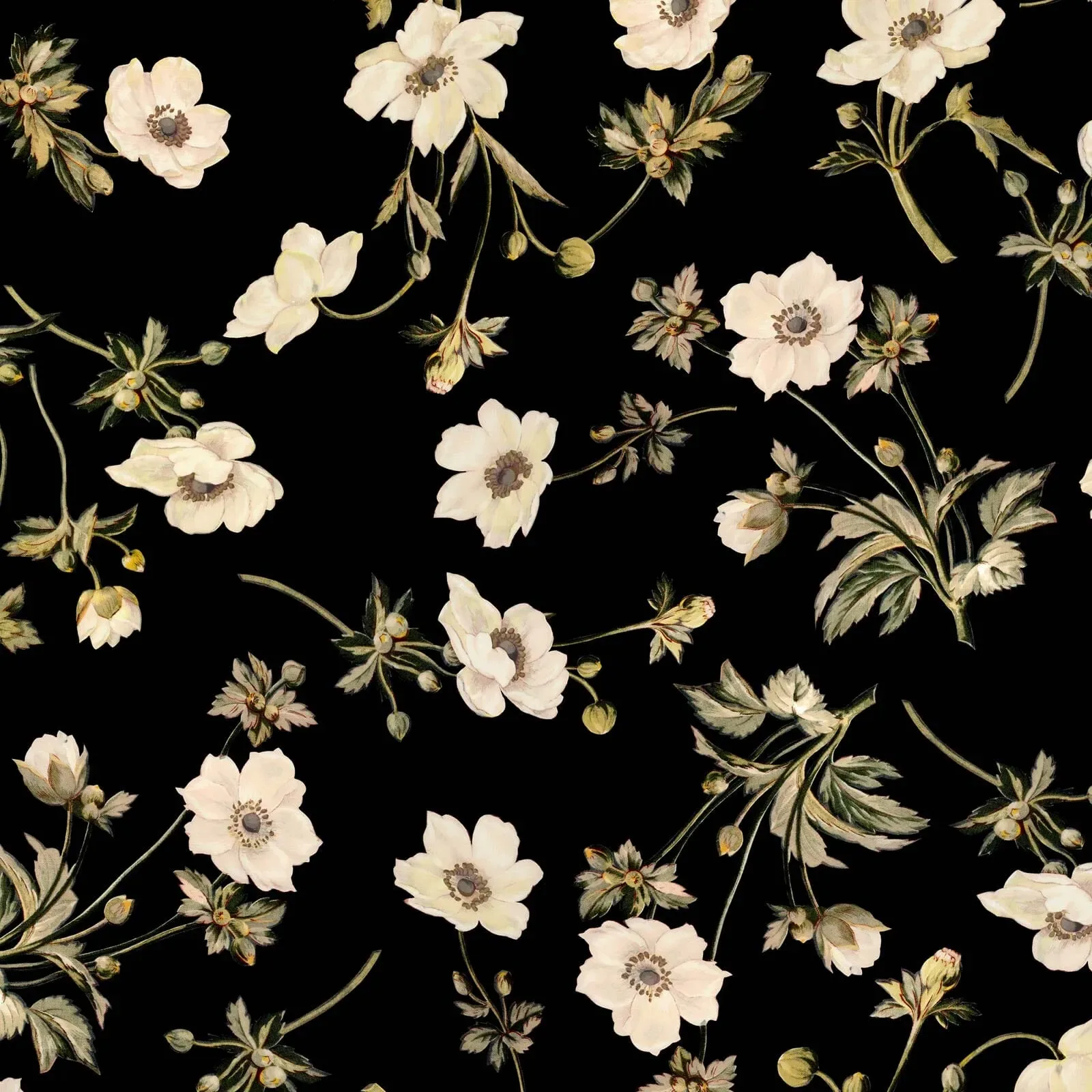 House of Hackney Poppium wallpaper in Black – SKU 1-WA-POP-DI-BLK-XXX