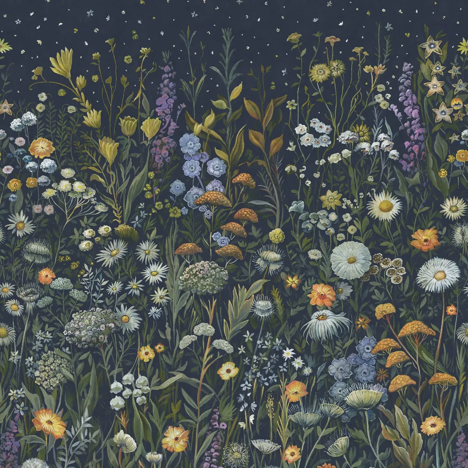House of Hackney Prataria wallpaper in Galaxias – SKU 1-WA-PRT-DI-GAX-XXX