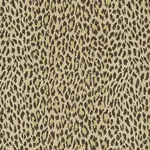 House of Hackney Wild Card Wallpaper – Butterscotch | Wallpaper Twins House of Hackney Wild Card wallpaper in Butterscotch – SKU 1-WA-WIL-TR-BUT-XXX