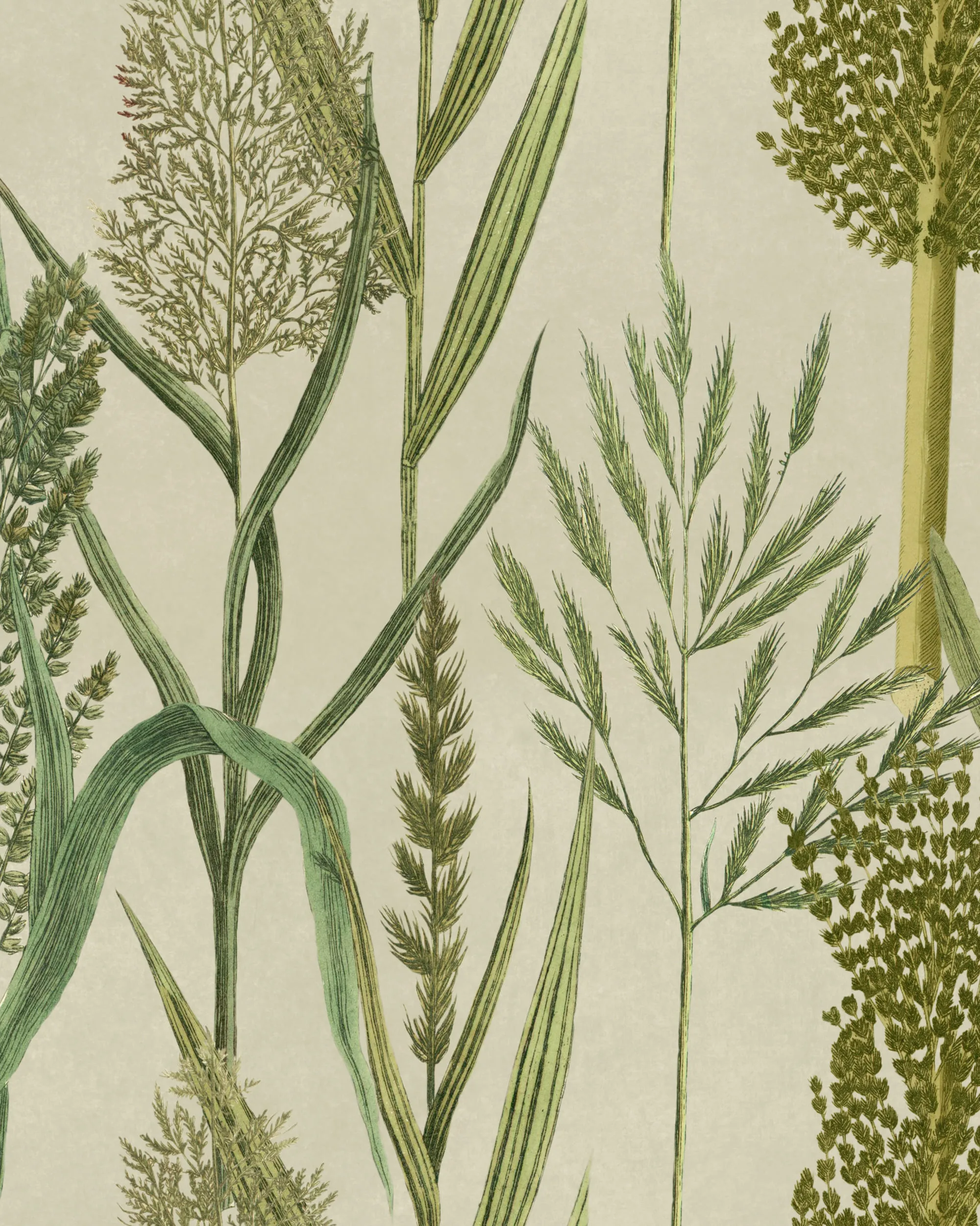 MINDTHEGAP RIVERSIDE FLORA Taupe grasscloth wallpaper (WP30164-GC)