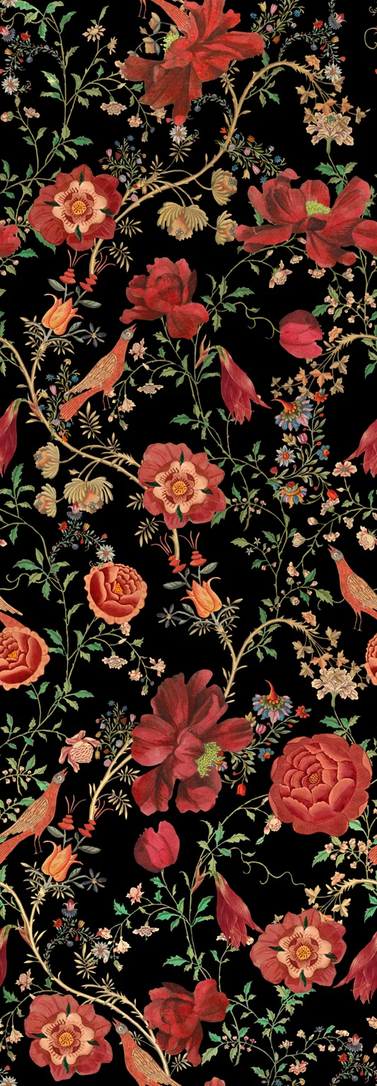 MINDTHEGAP TRANSSILVANIAE FLORILEGIUM Dark wallpaper (WP20557)