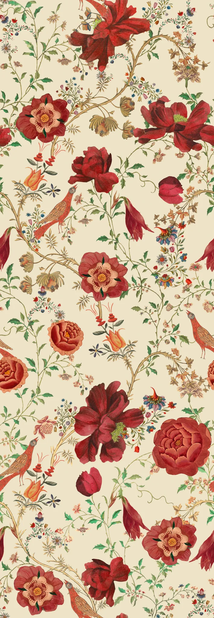 MINDTHEGAP TRANSSILVANIAE FLORILEGIUM wallpaper (WP20556)