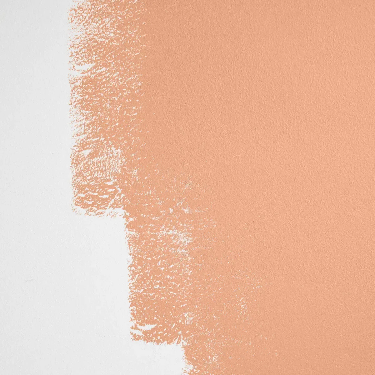 Schumacher Aperitivo Hour paint swatch – deep, dark peach
