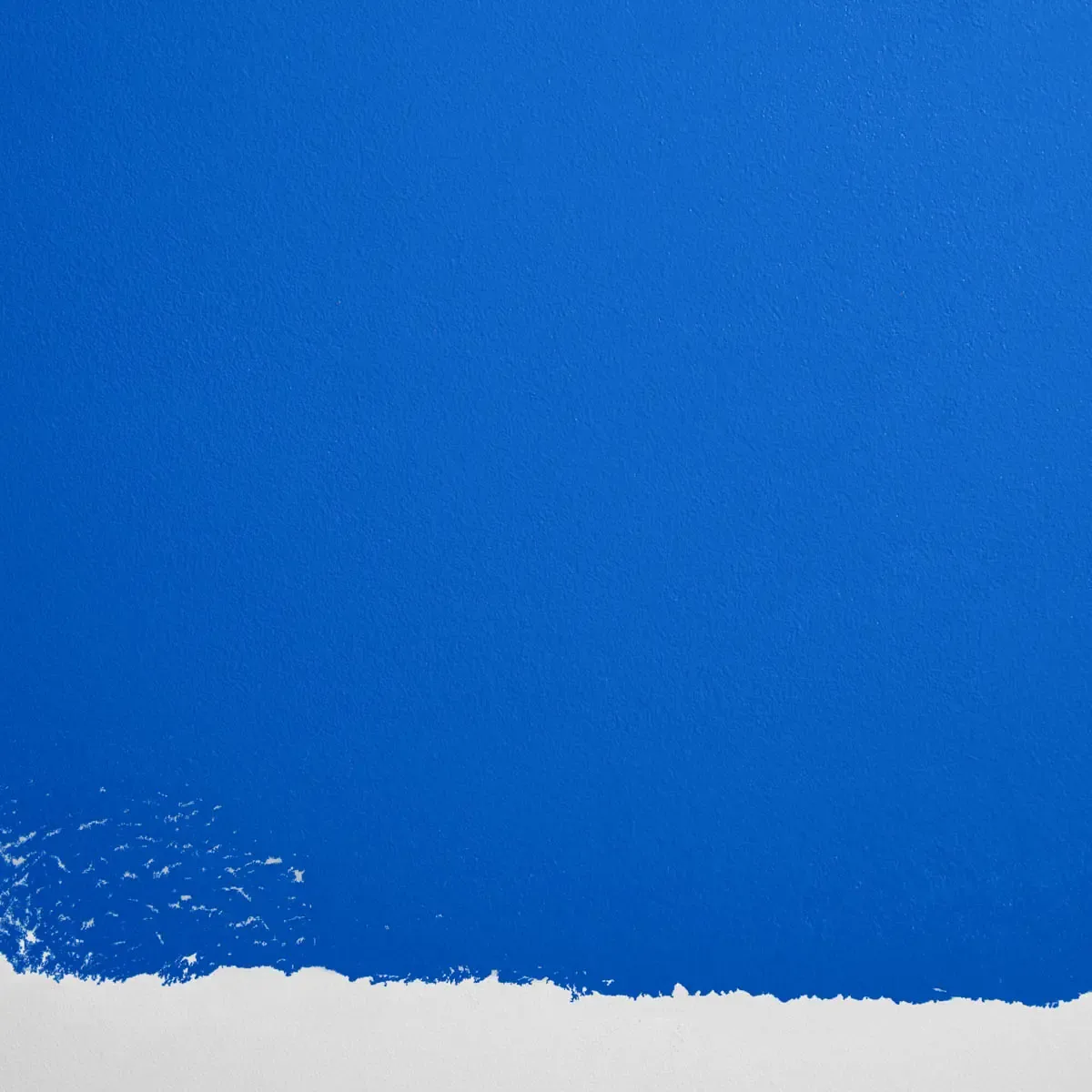 Schumacher Blue Is The Coolest Color paint swatch – bright, saturated blue