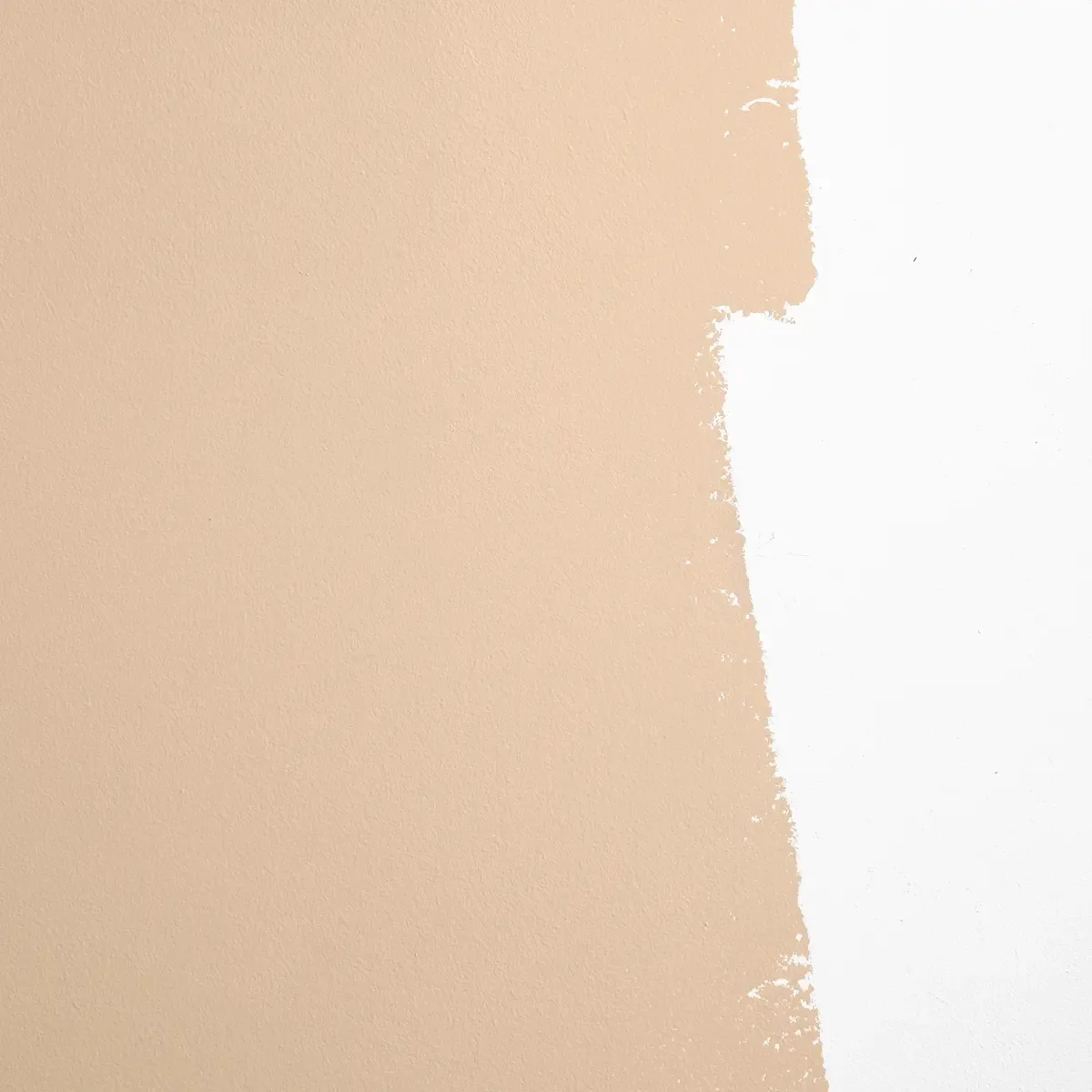 Schumacher Brooklyn Cowboy paint swatch – warm, earthy beige
