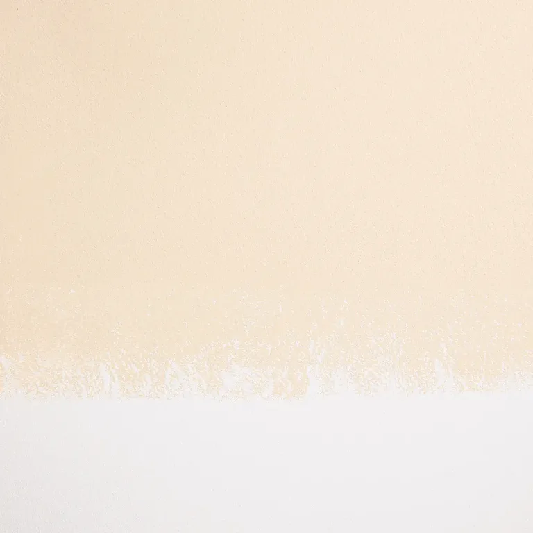Schumacher Champagne Bonfire paint swatch – soft, pale peach