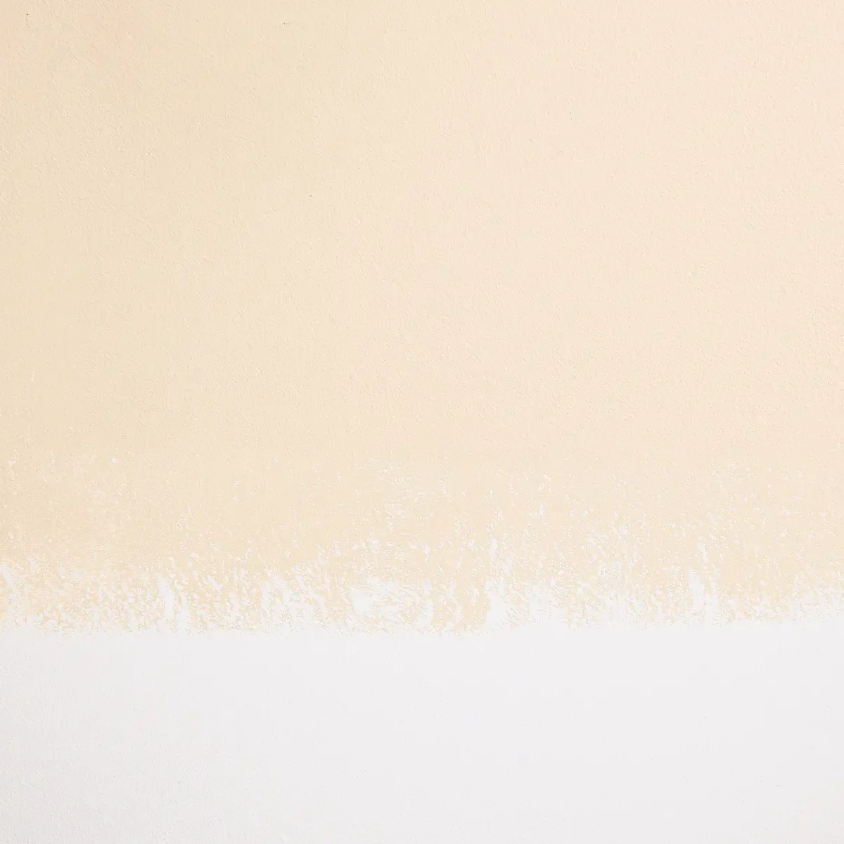 Schumacher Champagne Bonfire paint swatch – soft, pale peach