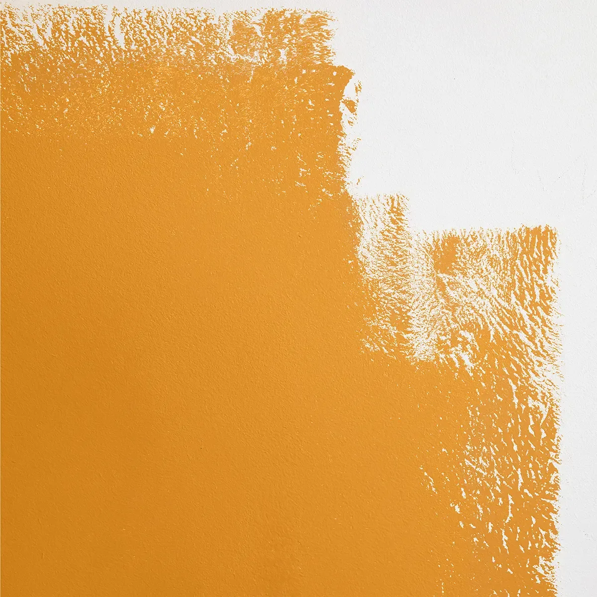 Schumacher Color Of The Year paint swatch – yellow-orange