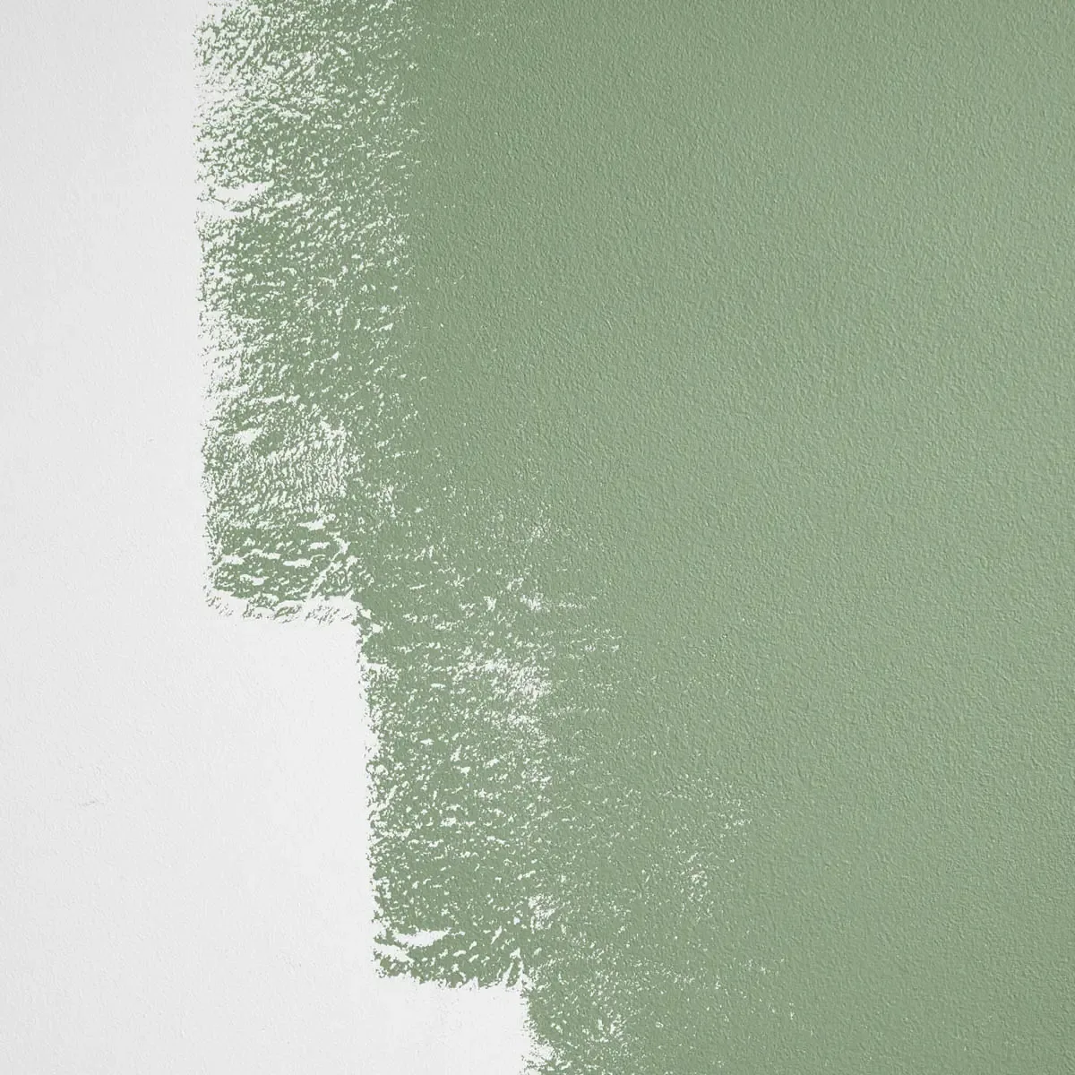 Schumacher Drive-Thru Safari paint swatch – soft green that skews warm