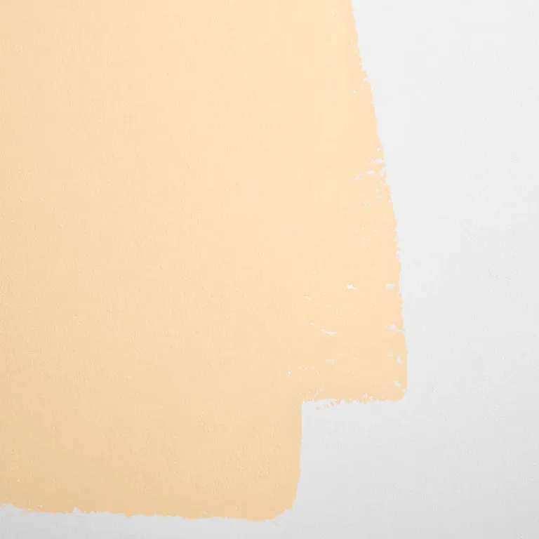 Schumacher Earthly Delights paint swatch – light peach