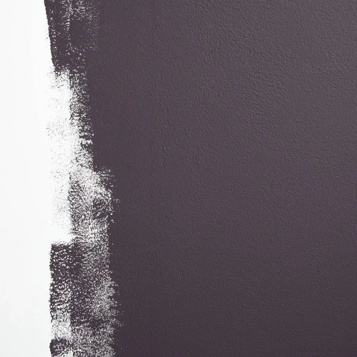 Schumacher Essence Of Nightshade paint swatch – deep purple