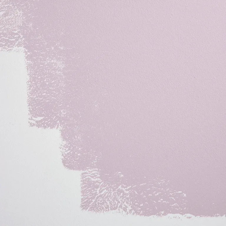 Schumacher Gin Blossoms paint swatch – warm lilac