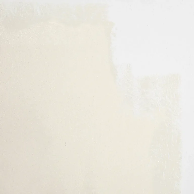 Schumacher Harvest Moon paint swatch – warm white