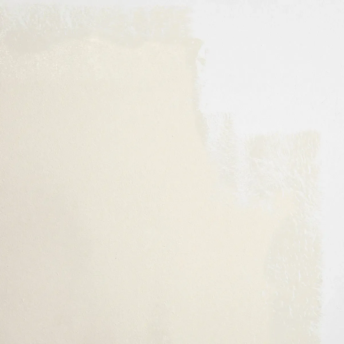 Schumacher Harvest Moon paint swatch – warm white