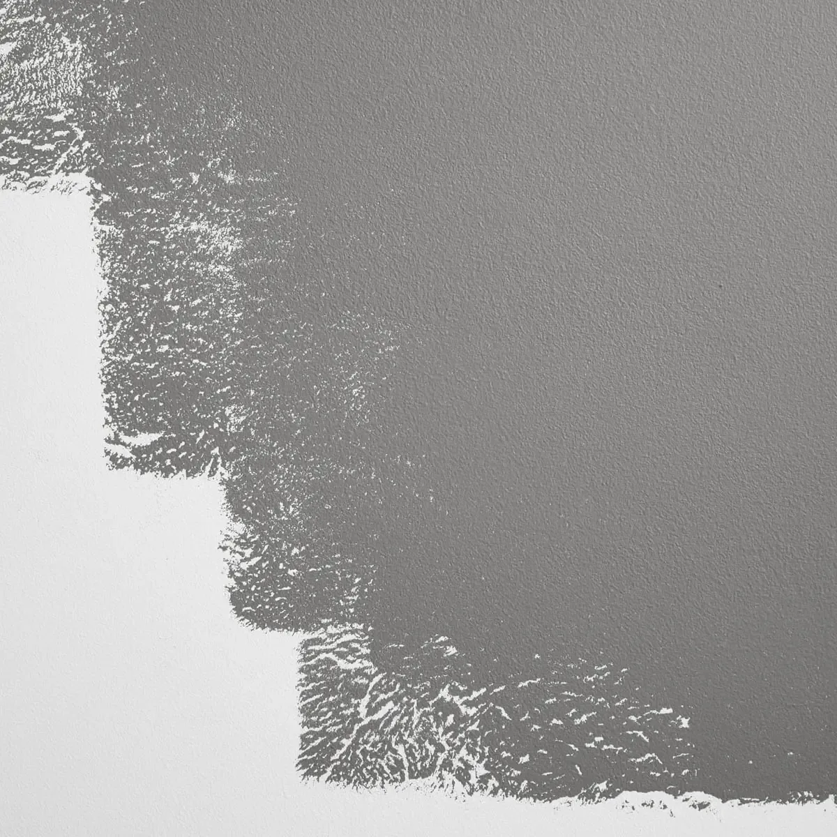 Schumacher Highline Shadow paint swatch – deep, warm gray