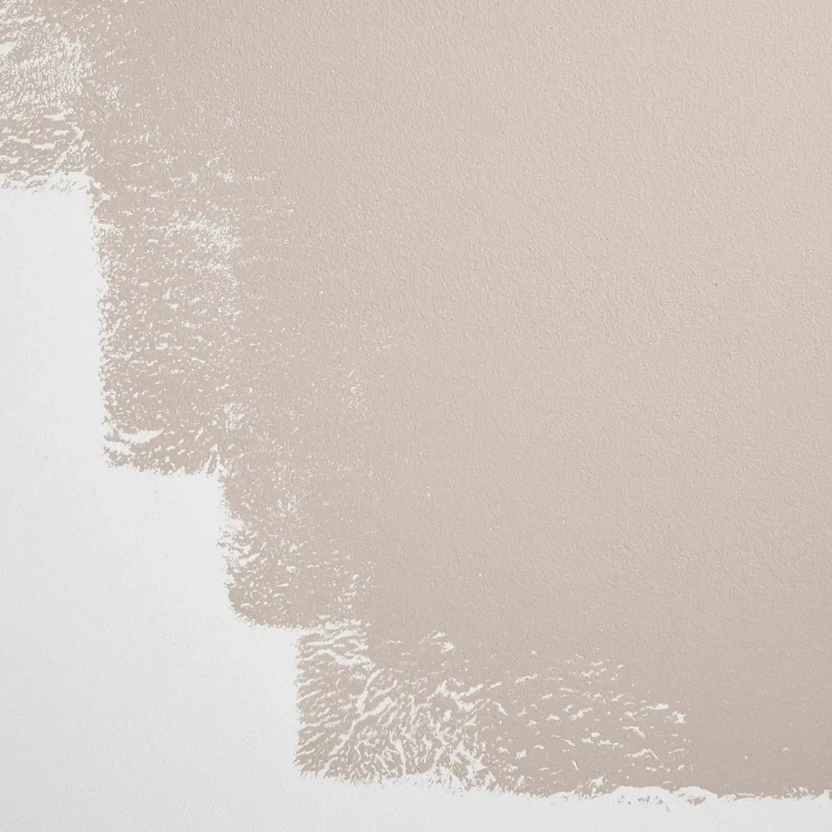 Schumacher Interior Motives paint swatch – warm gray-beige that skews taupe