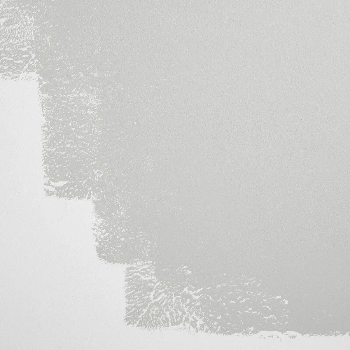 Schumacher Italian Plaster paint swatch – cool, light gray