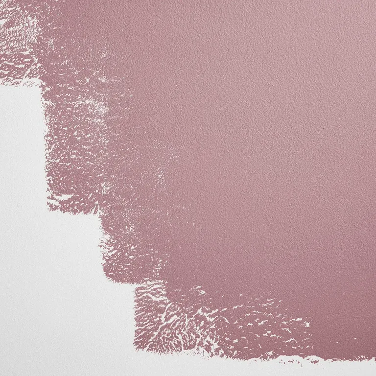 Schumacher Jawbreaker paint swatch – rosy mauve