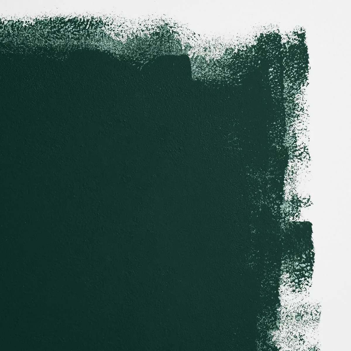 Schumacher Kismet paint swatch – dark dutch green