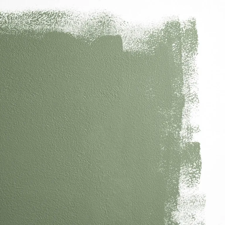 Schumacher Lawn Party paint swatch – deep green