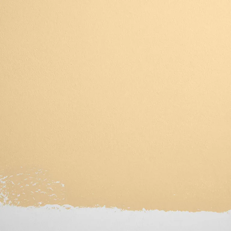 Schumacher Miami Parasol paint swatch – muted, soft yellow