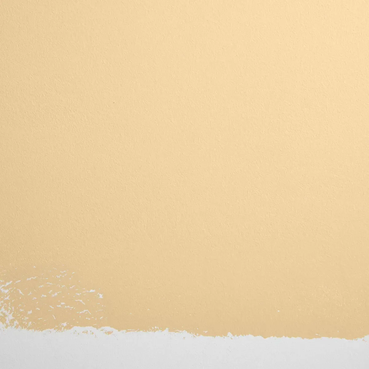 Schumacher Miami Parasol paint swatch – muted, soft yellow