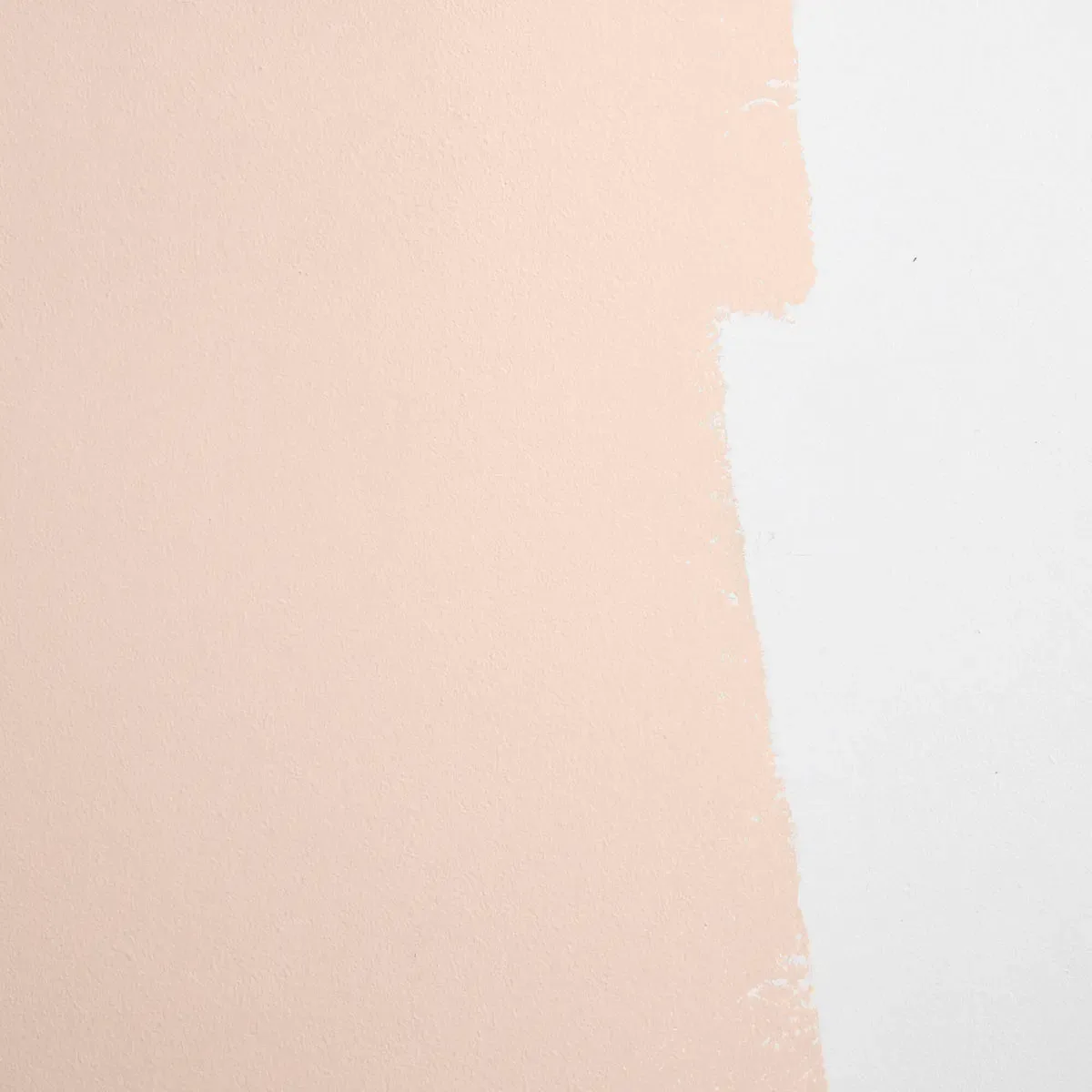 Schumacher Modern Love paint swatch – warm, muted pink