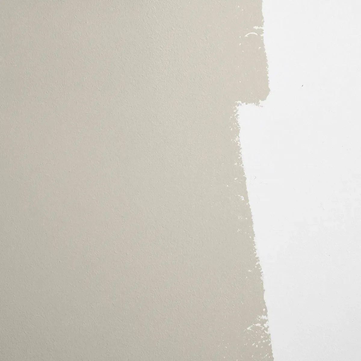 Schumacher Mojave Gathering paint swatch – neutral gray-beige