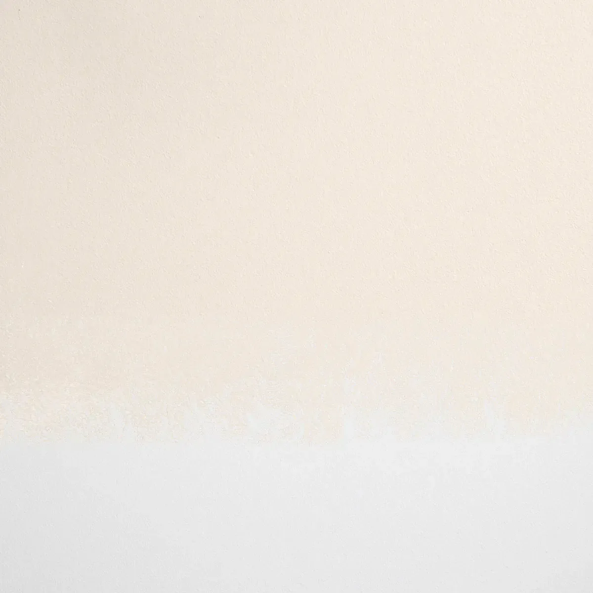 Schumacher Moonlight paint swatch – warm off-white
