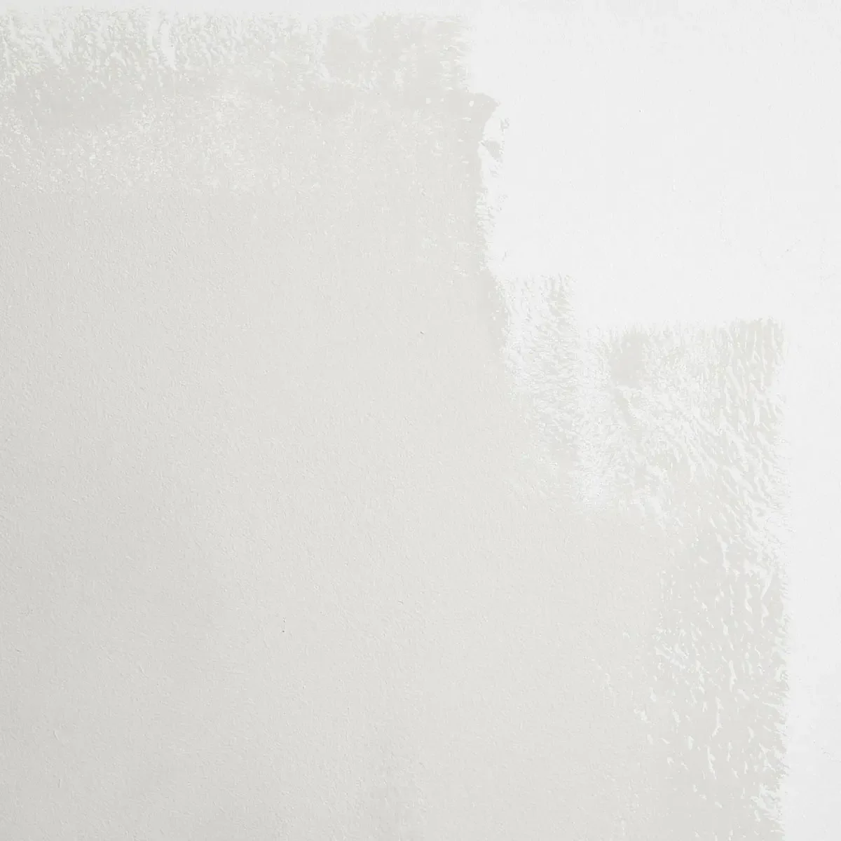 Schumacher Moonstone paint swatch – off-white with gray