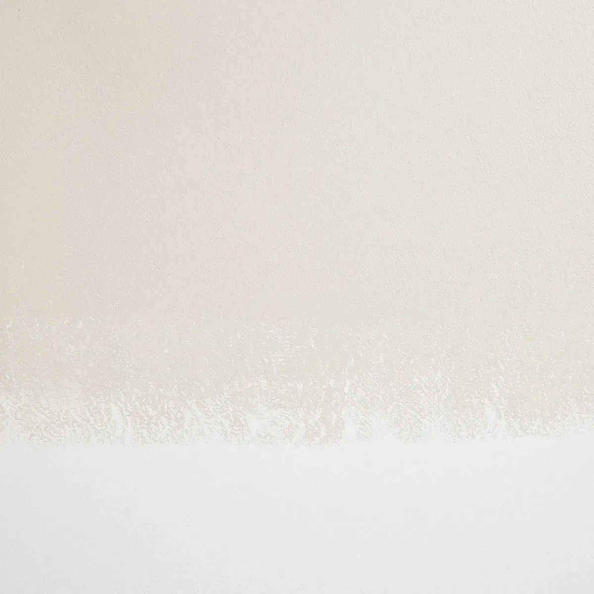 Schumacher Morning Ritual paint swatch – light gray-beige with warm undertones
