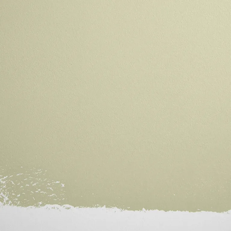 Schumacher Natural Habitat paint swatch – light green with a hint of yellow