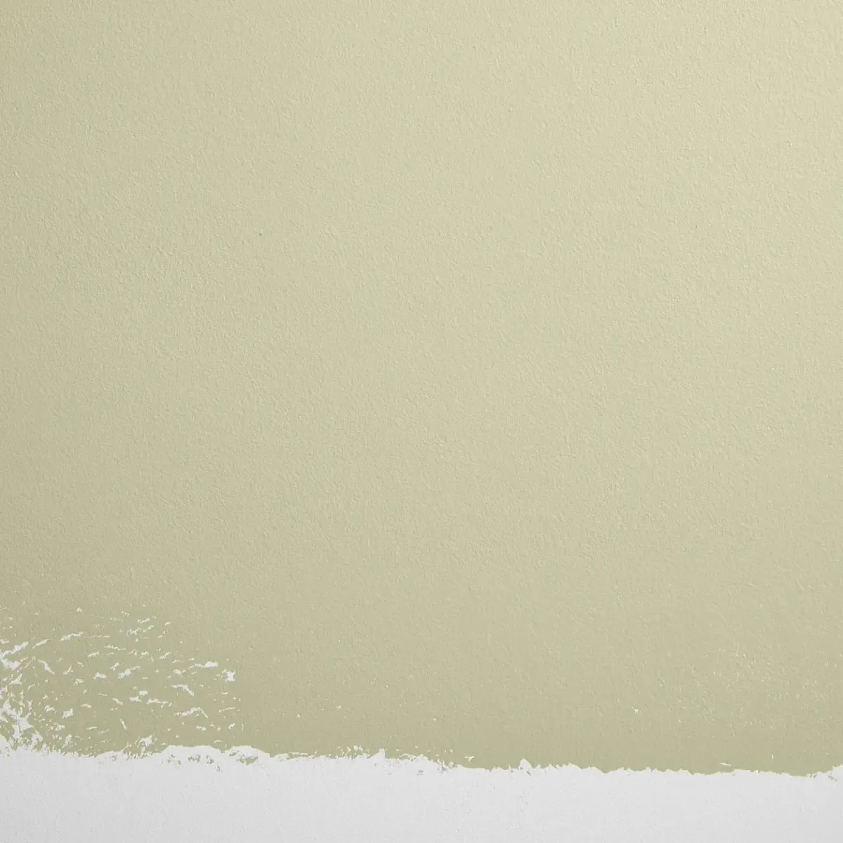 Schumacher Natural Habitat paint swatch – light green with a hint of yellow