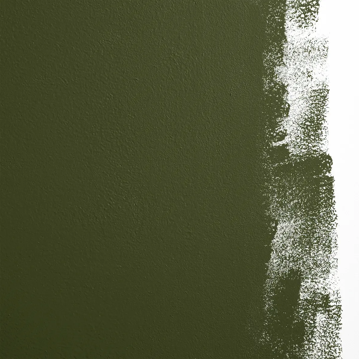 Schumacher Night On Earth paint swatch – dark olive green