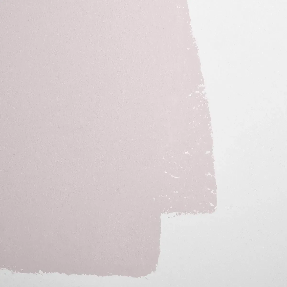 Schumacher Not So Delicate paint swatch – gray lavender with a hint of pink